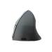 Souris verticale IntekView Sans fil Droitière Rechargeable