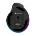 Souris vertical Intekview droitière BT + 2.4G Sans fil Souris vertical Intekview droitière BT + 2.4G Sans fil